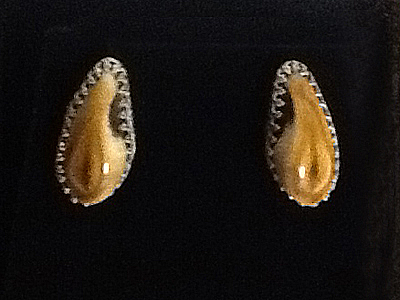 elk ivory earrings