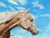 geclee on canvas
