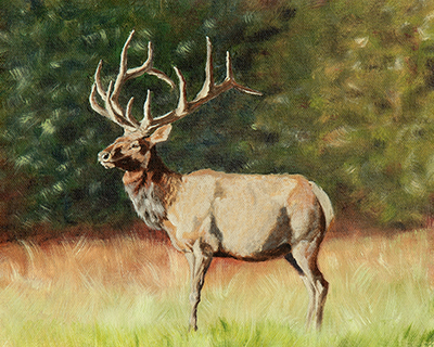 giclee on canvas